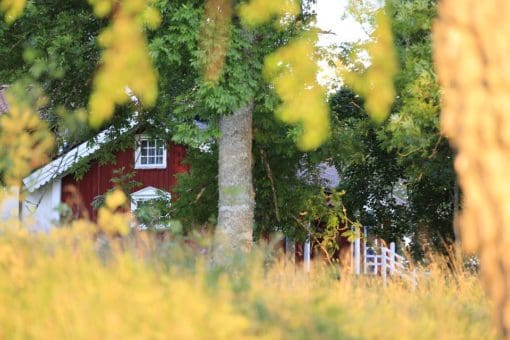 miljövänligt städbolag i stockholm